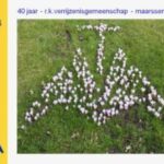 40 jaarVGM logo in tuin alt-tekst verrijzenisgemeenschap